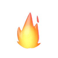 livehtml.shop